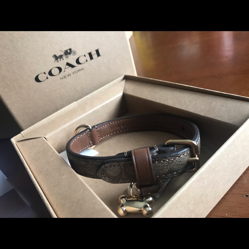 Coach doggie collar 🐕